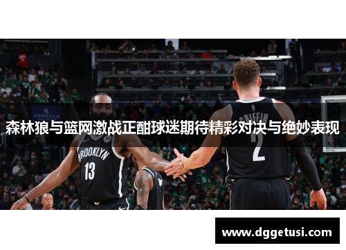 森林狼与篮网激战正酣球迷期待精彩对决与绝妙表现